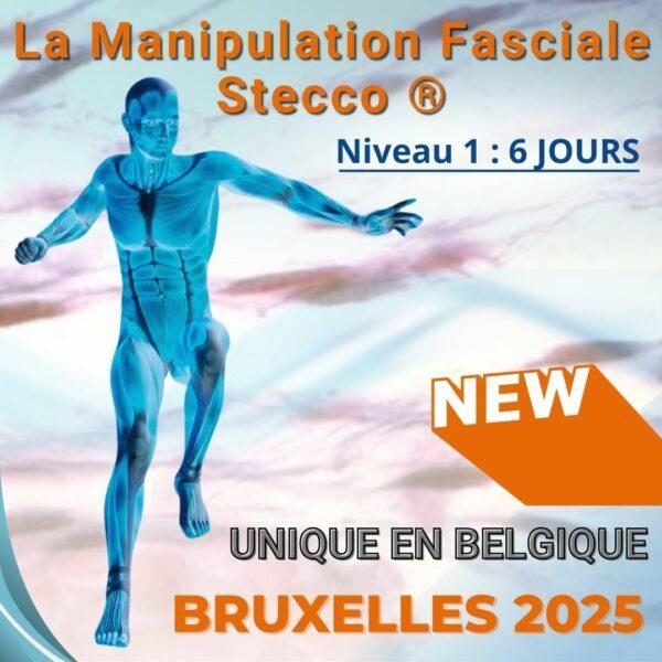 FORMATION STECCO FORMATION STECCO